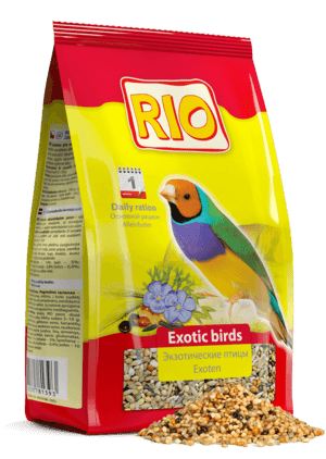 Bird Food 1